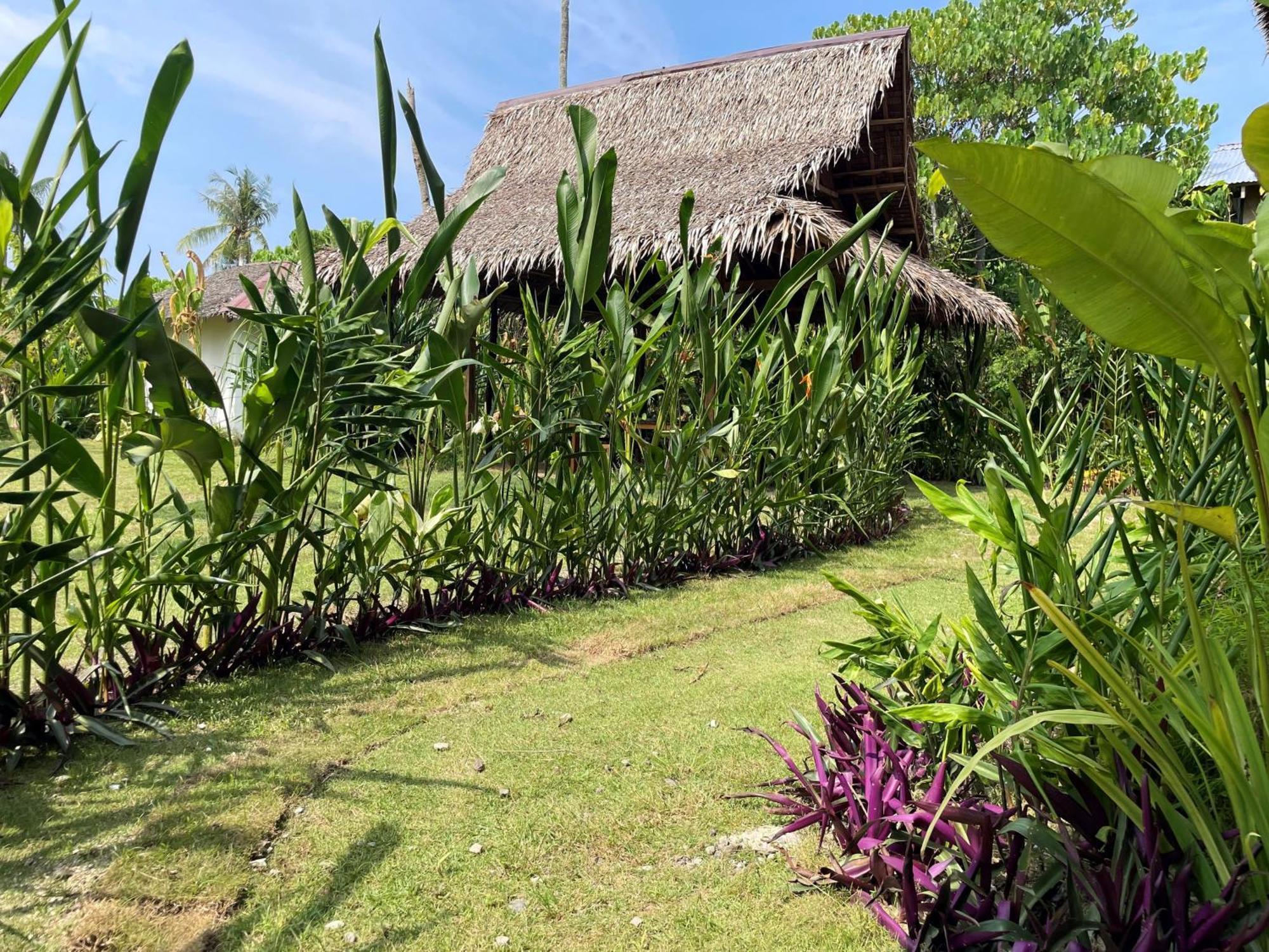 Siargao Sunflower Suites General Luna  Extérieur photo