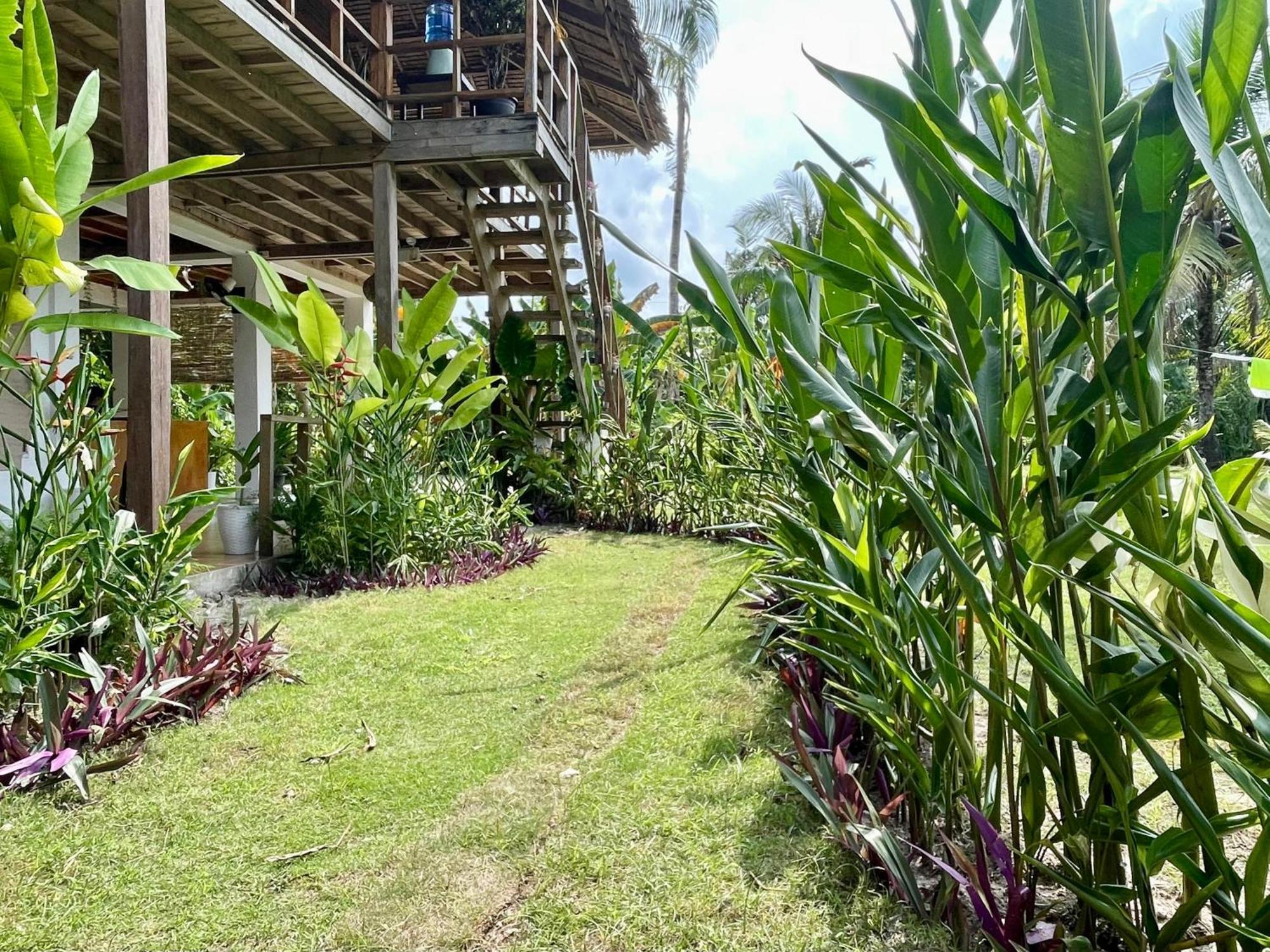 Siargao Sunflower Suites General Luna  Extérieur photo